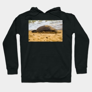 Monk seal 1 Hoodie